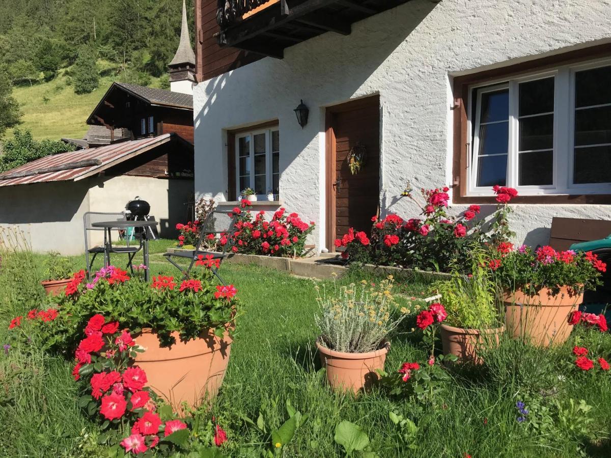 Haus Bortis Apartment Goms Екстериор снимка