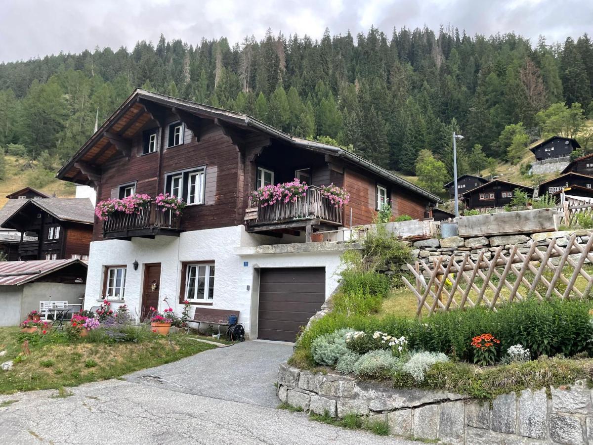Haus Bortis Apartment Goms Екстериор снимка