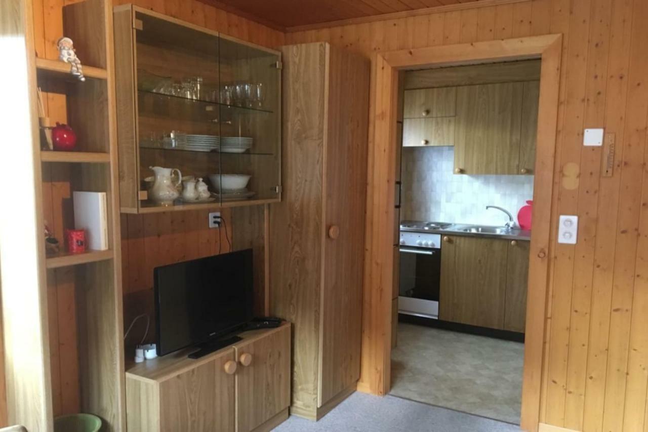 Haus Bortis Apartment Goms Екстериор снимка